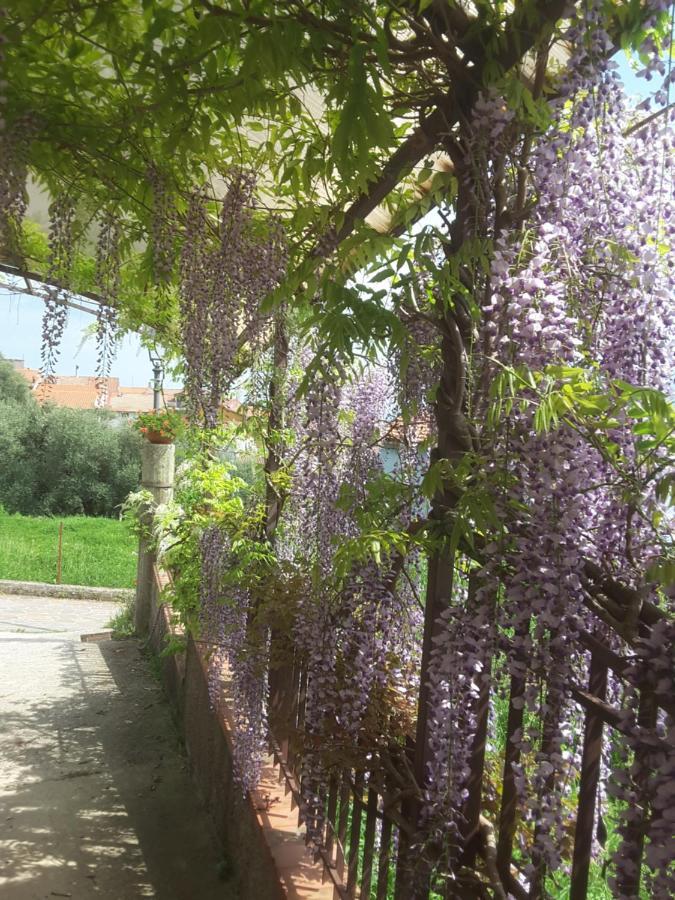 Mansarda Fiorita Bed & Breakfast Abatemarco Dış mekan fotoğraf