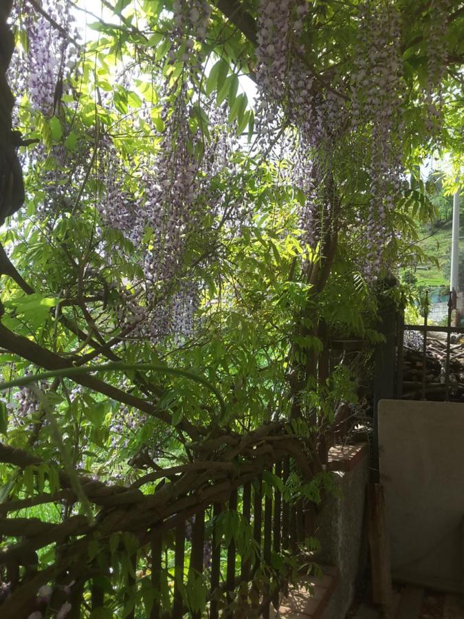 Mansarda Fiorita Bed & Breakfast Abatemarco Dış mekan fotoğraf