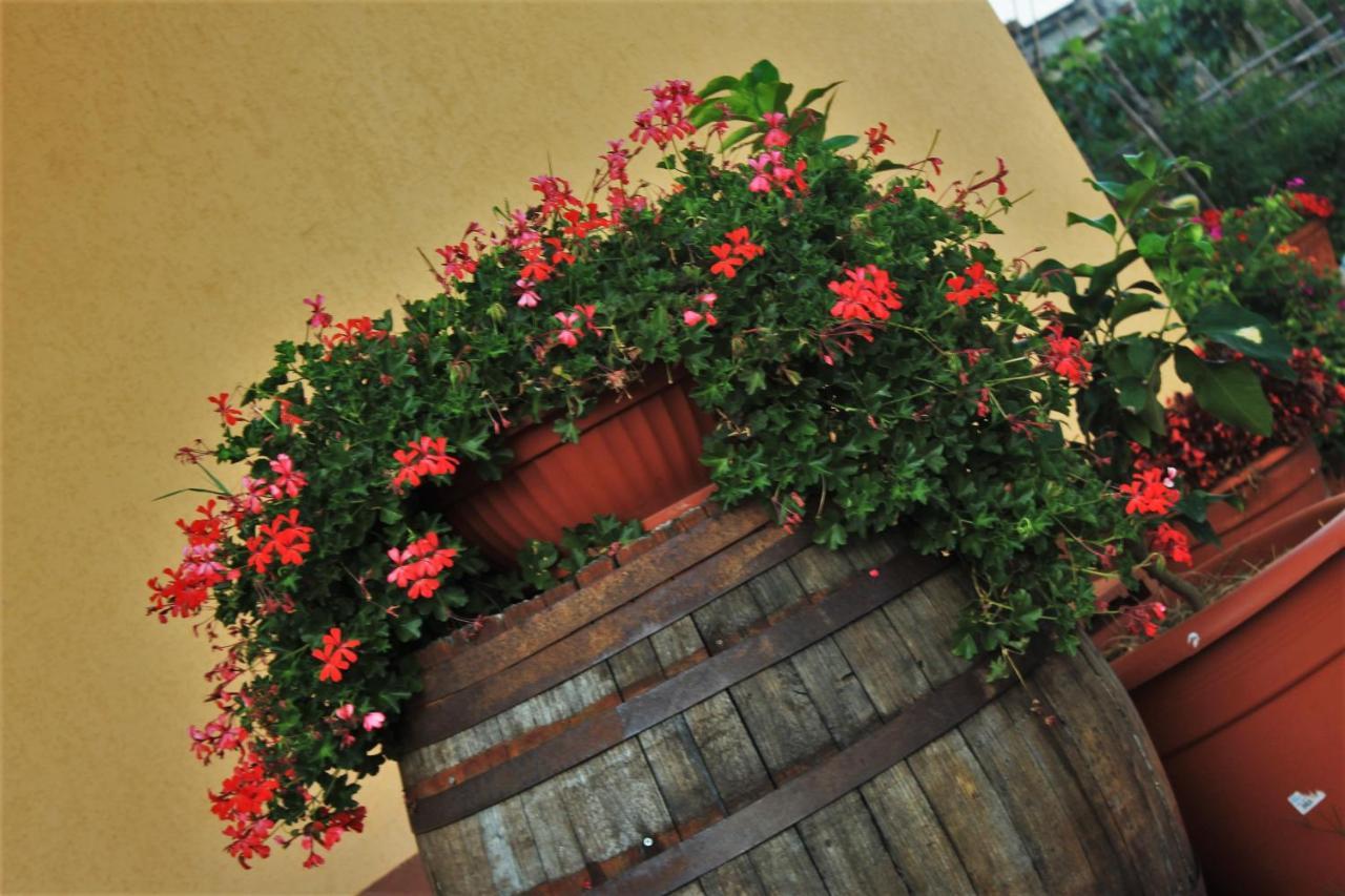 Mansarda Fiorita Bed & Breakfast Abatemarco Dış mekan fotoğraf
