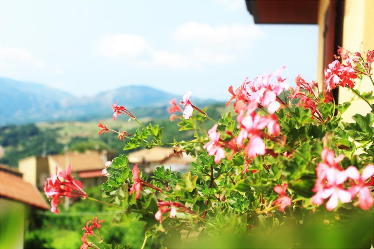 Mansarda Fiorita Bed & Breakfast Abatemarco Dış mekan fotoğraf
